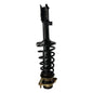 AMORTIGUADOR DELANTERO CHANGAN MD201 LH-RH (CON ESPIRAL Y CAZOLETA) Maracars.cl