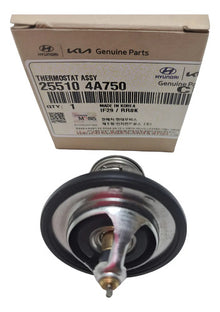 25510-4A750 (ORIGINAL) - imagen Mercado Libre 1