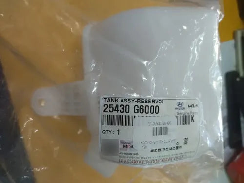 25430-G6000 - imagen Mercado Libre 6