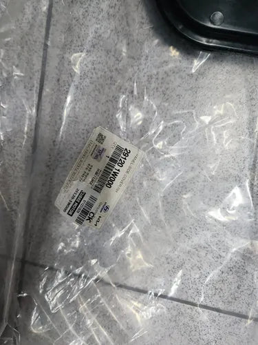 D04/29120-1W000 - imagen Mercado Libre 3