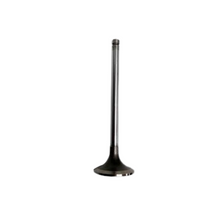Valvula Admision Chery	Tiggo 3 1500 Sqre4G15 Dohc Bencina 16 Valv 4 Ci 19-24